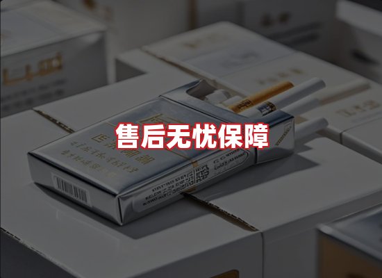 专业团队